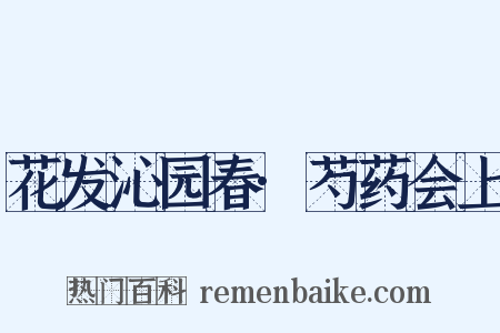 花发沁园春·芍药会上是什么意思的图片